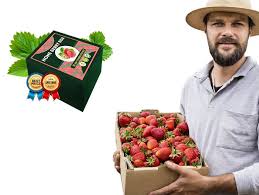 Home Berry Box - hausgemachte Erdbeeren - Unterricht - preis - Erfahrungen