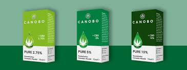 Canobo Cbd – inhaltsstoffe – preis – test