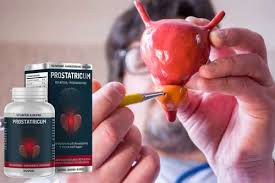 Prostatricum – für die Prostata - kaufen – preis – in apotheke