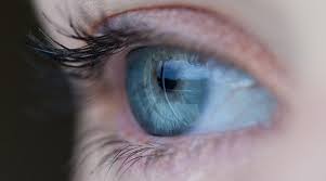 Oculax – besseres Sehvermögen - Bewertung – forum – Aktion